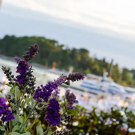 Διαμέρισμα Noemi